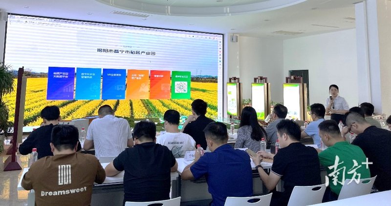 普宁物联网开发：打造未来城市的钥匙